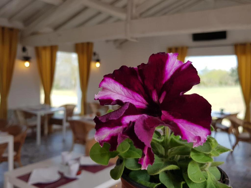 Hotel Valle Del Oja Касаларрейна Екстер'єр фото